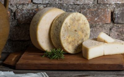 ¿Cómo conservar el queso de oveja?