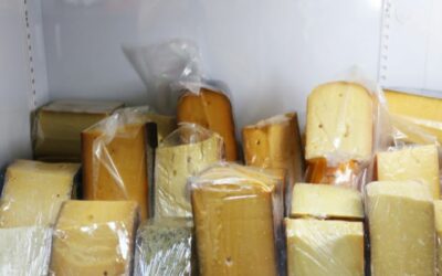 ¿Se puede congelar el queso curado de oveja?