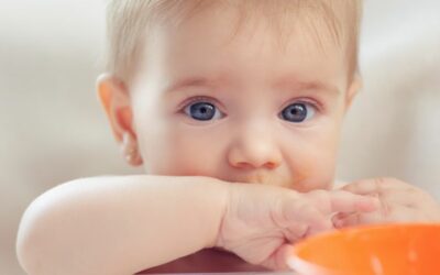 ¿Cuándo puede comer queso un bebé?