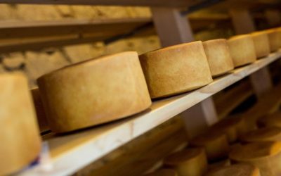 De dónde es el queso de cabra: origen y tradición